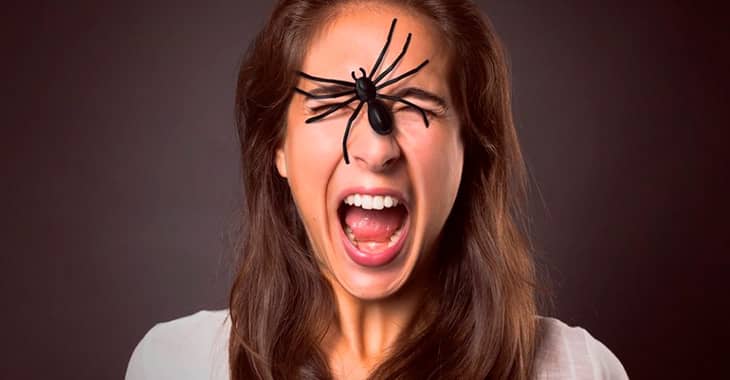 Страх пауков