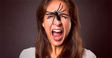 Страх пауков