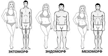 testsúlycsökkenés az endomorf nősténynél)